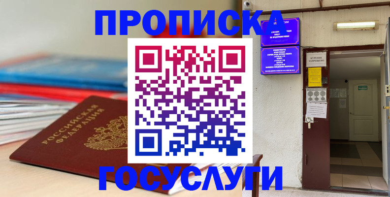 прописка законно в Шали